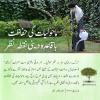 ماحولیات کی حفاظت باقاعدہ دینی نقطہ نظر