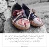 دنیائے اسلام میں رونما ہونے والے خونریزی کے ان دو سانحوں پر اپنی ہمدردی کا اظہار کرنا لازمی سمجھتا ہوں