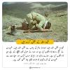 شہدا اللہ کے منتخب کردہ ہیں
