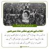 انقلاب کے نعرے ملکی مفاد میں ہیں