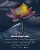 مکمل آسودگی کا ساحل