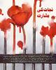 نجات کی بشارت