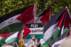 فلسطینیوں کی سافٹ پاور