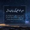 امیر المومنین کی سیاسی روش
