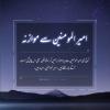 امیر المومنین سے موازنہ