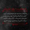 حضرت فاطمہ زہرا، آئیڈیل مسلمان خاتون