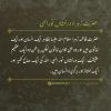حضرت زہرا؛ درخشاں نور الہی