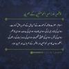 پیغمبر اور امیر المومنین کے ہم پلہ